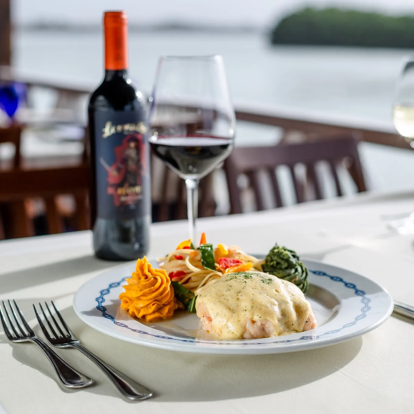 Platillos de comida gourmet con vino tinto en cancún