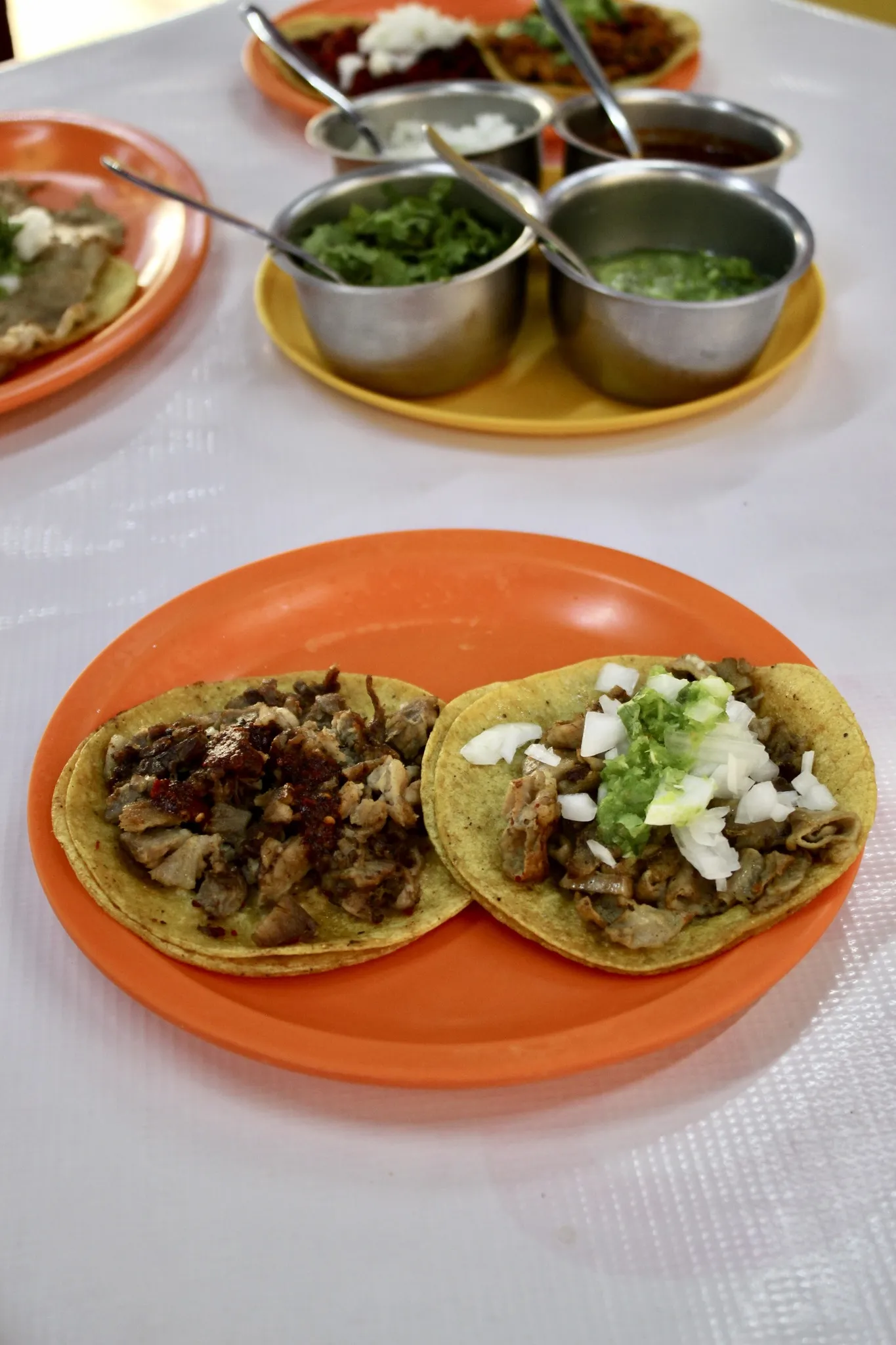 Tacos en Cancún taqueria los parejas
