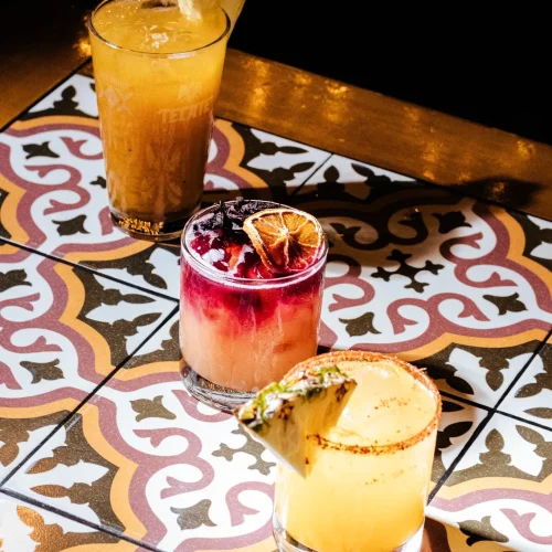 Bebidas preparadas y cocteles