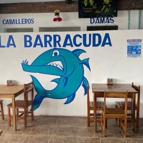 Marisquerías baratas en Playa del Carmen 2024