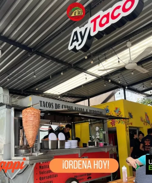 Las mejores taquerías de playa del carmen