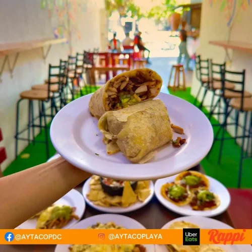 burritos deliciosos en playa del carmen