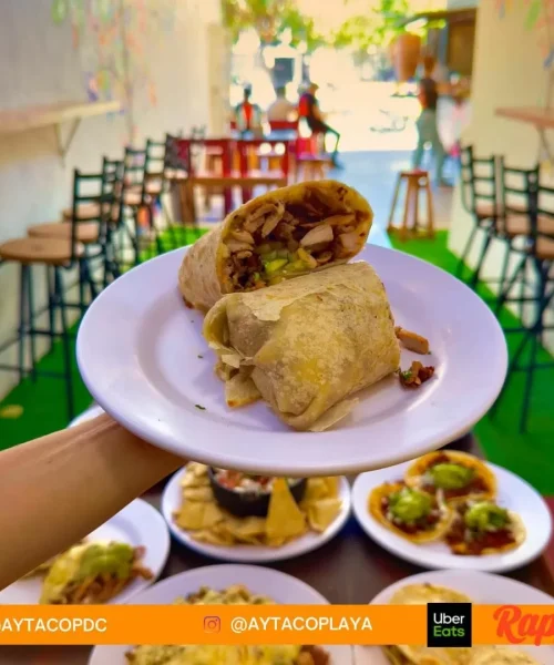 burritos deliciosos en playa del carmen