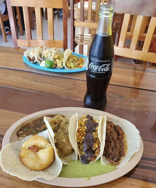 Tacos de guisados