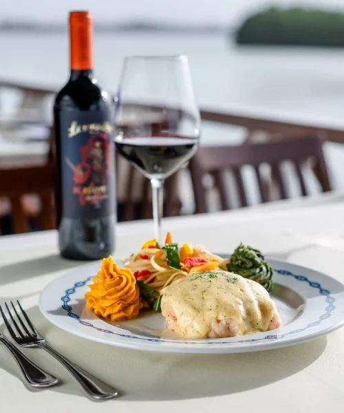 Platillos de comida gourmet con vino tinto en cancún