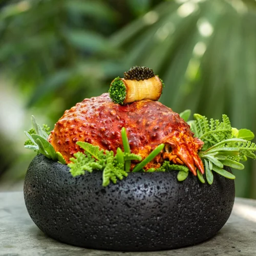 Comida gourmet en tulum