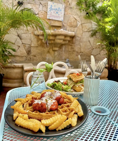 deliciosos waffles en chez waffle