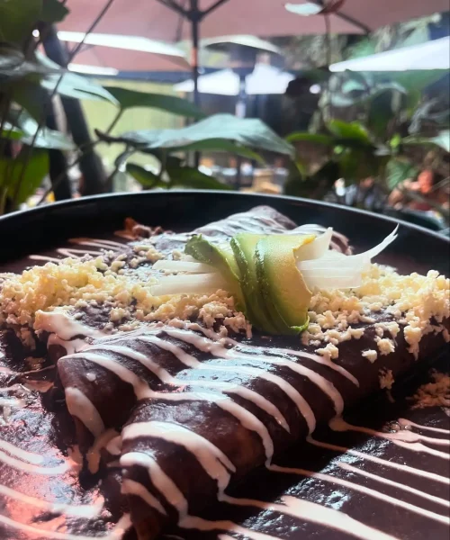 enfrijoladas en xalapa restaurante chejere café