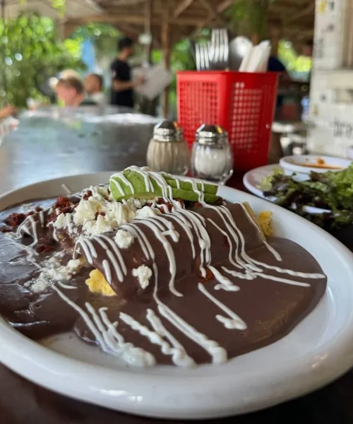 Enfrijoladas estilo veracruz en que huevos
