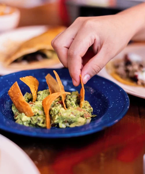 Guacamole con totopos