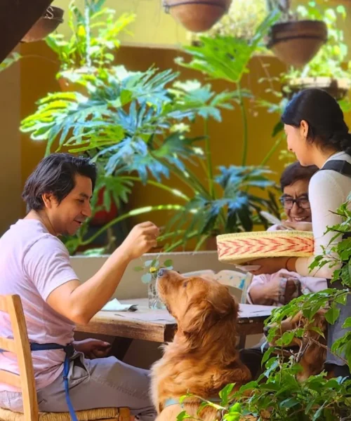 Restaurantes en cholula para comer saludable