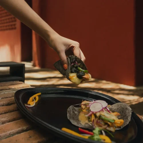 Tacos gourmet en el restaurante la noria en puebla