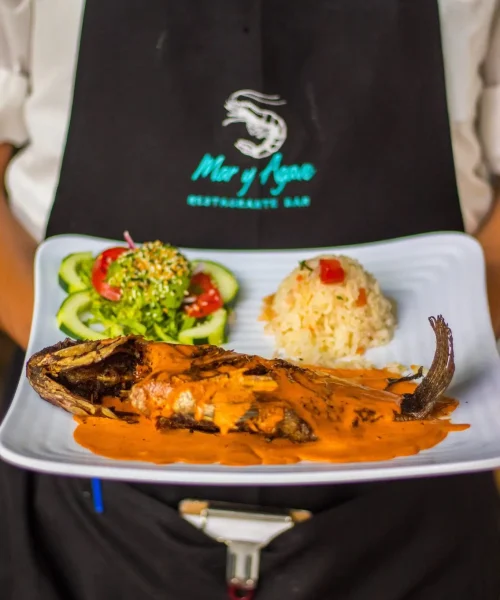 restaurante de mariscos en mar y agave coatepec veracruz