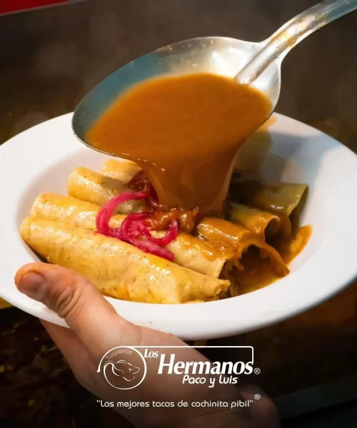 tacos de cochinita pibil en xalapa taqueria los hermanos paco y luis