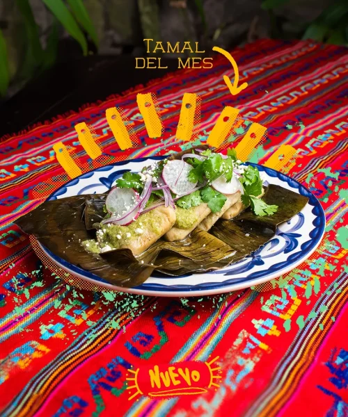 tamal del mes restaurante catrin en el centro