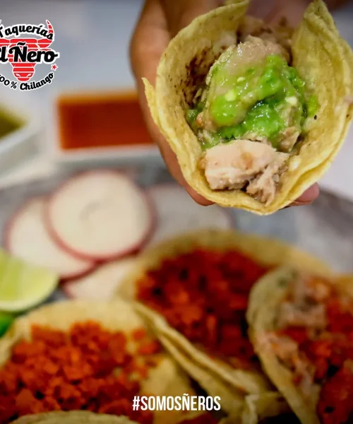 lugares para comer barato en playa del carmen restaurante el ñero