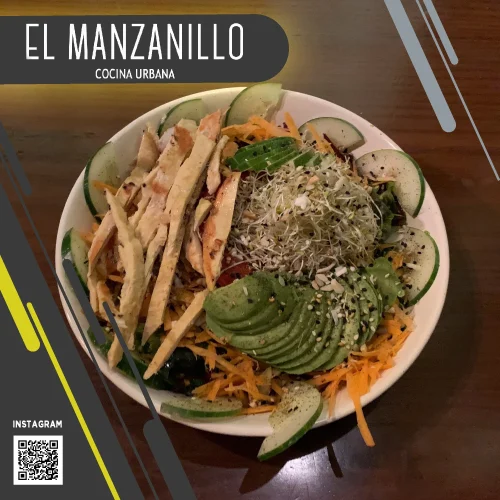 Ensalada de verdura con pollo